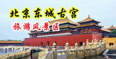 中国浪女性乱交毛片网中国北京-东城古宫旅游风景区